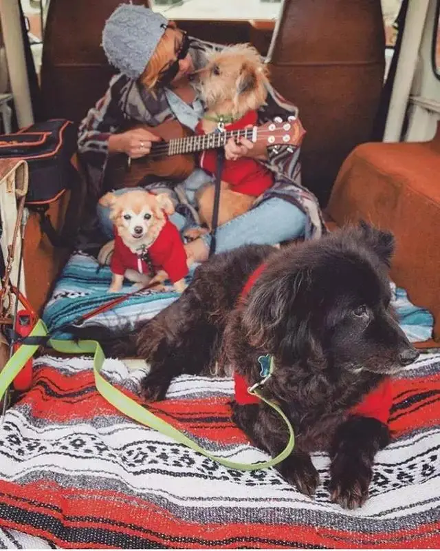 

FOR AXIAL 1/30 SCX30 K10 Aluminum Servo Arm 28T Compatible with Original Servo Accessories