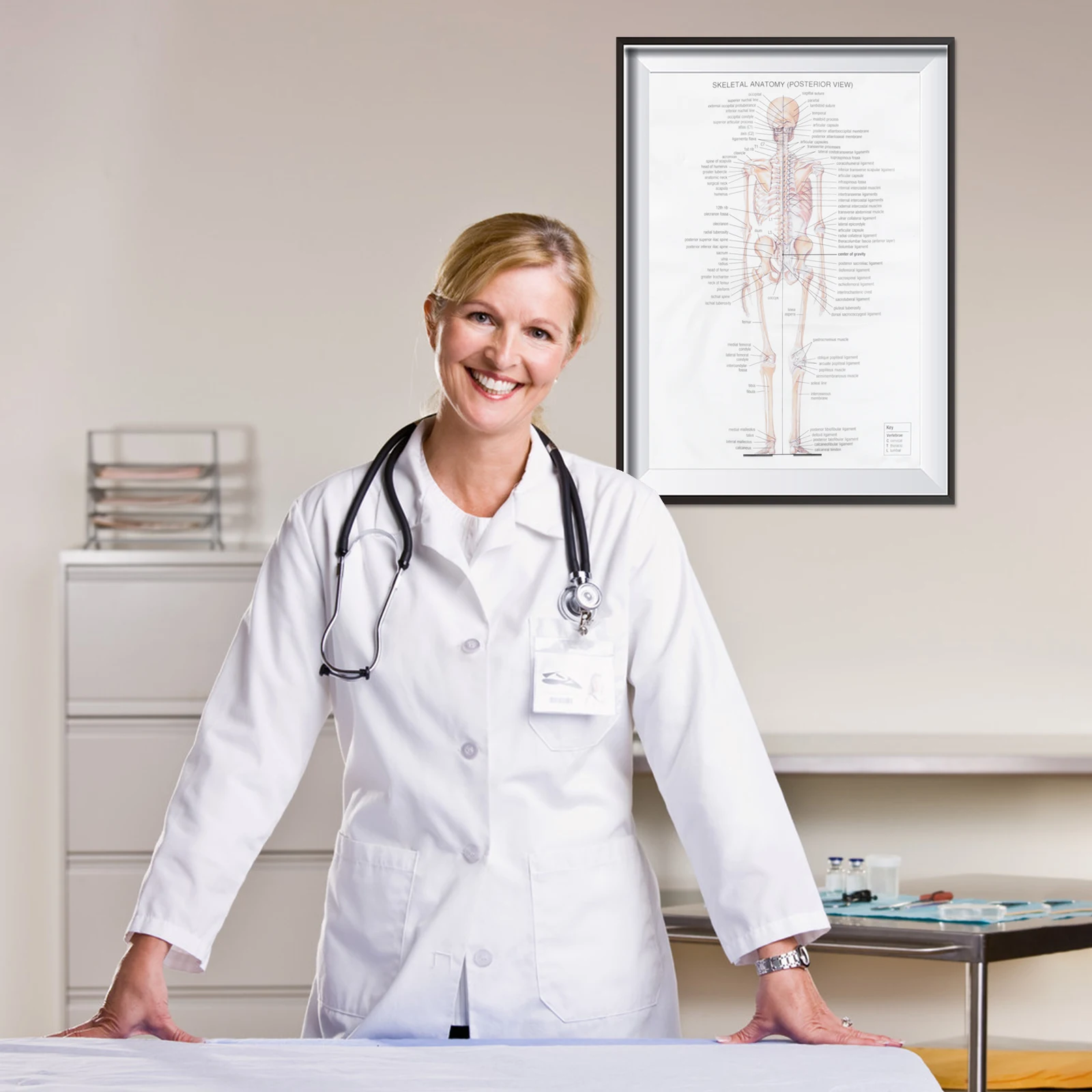 

Human Anatomy Poster Skeletal Structure Hanging System Kraft Paper Body
