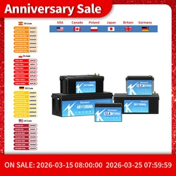 Nueva batería de fosfato de hierro y litio LiFePO4 de 12V 24V 48V con BMS 50 80 100 120 180 300Ah para carrito de Golf EV RV almacenamiento de energía Solar