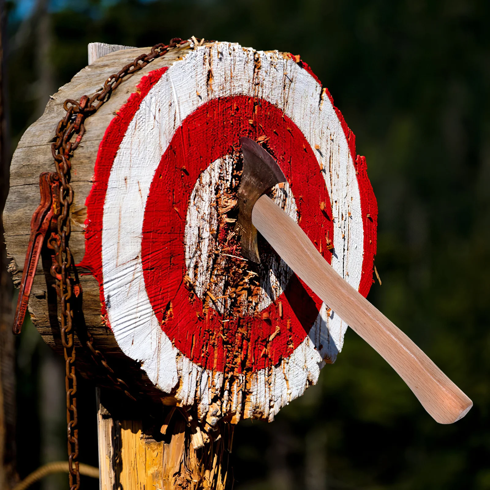 Axe Handle Replacem…