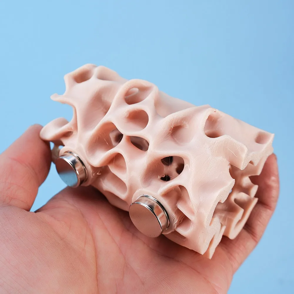 

Ventilated Structure Jumping Spider Habitat Innovative Plastic Gecko Habitat Climbing Tunnel Amphibian Enclosure Gecko Enclosure