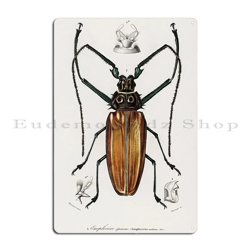 Enoplocerus Armillatus Ill Metal Signs Party Cinema Club Cave Create Tin Sign Poster