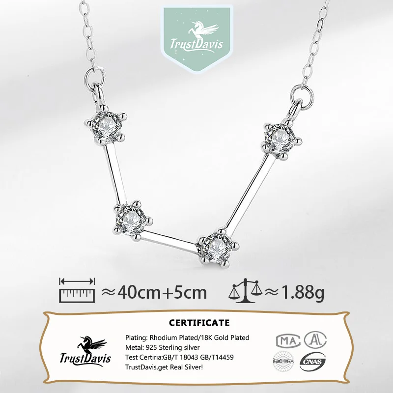 TrustDavis Girls Real 925 Sterling Silver Necklace 12 Constellations Pendant Birthday Gift for Women Daughter Jewelry DS4062