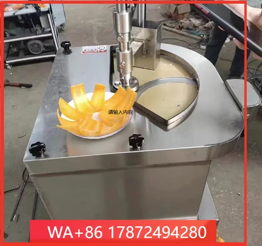 Fully Automatic Fresh Meat Slicer