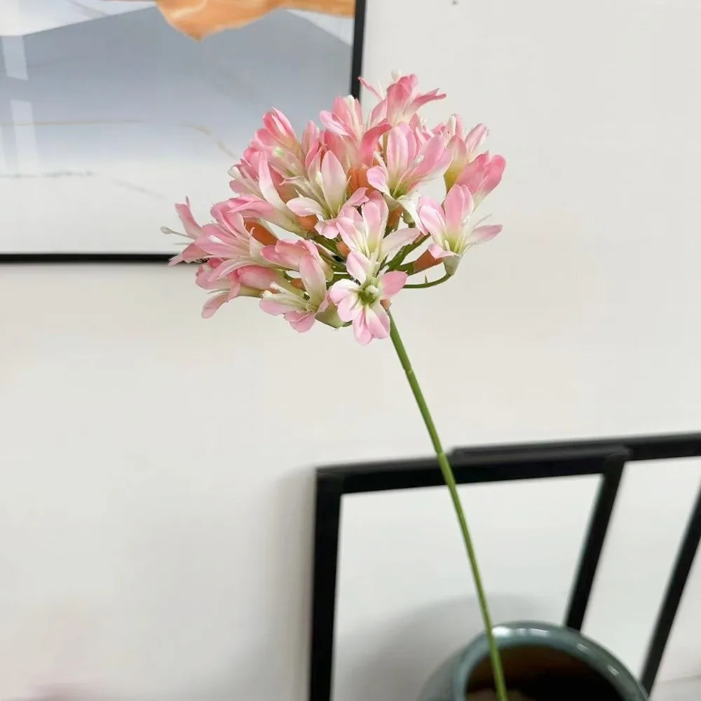 New Fake Agapanthus Flowers Branch 75cm Plastic Fake Lotus Flower Long Branch Artificial Flower Table Accessories