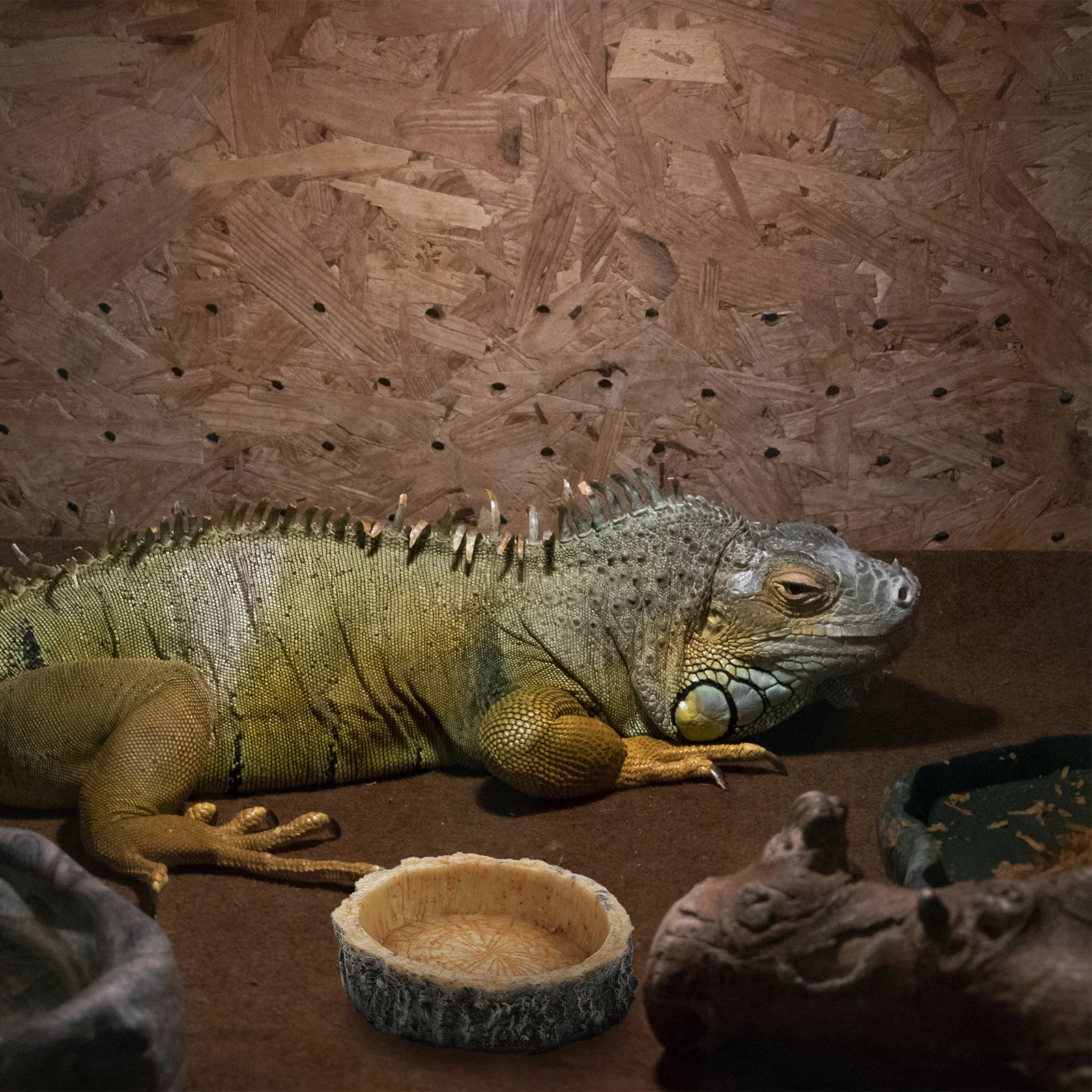 

2Pcs Reptile Food Basin Natural Wood Pet Feeder Lizard Water Holder Decorative Cage Supplies Reptile Food Basin