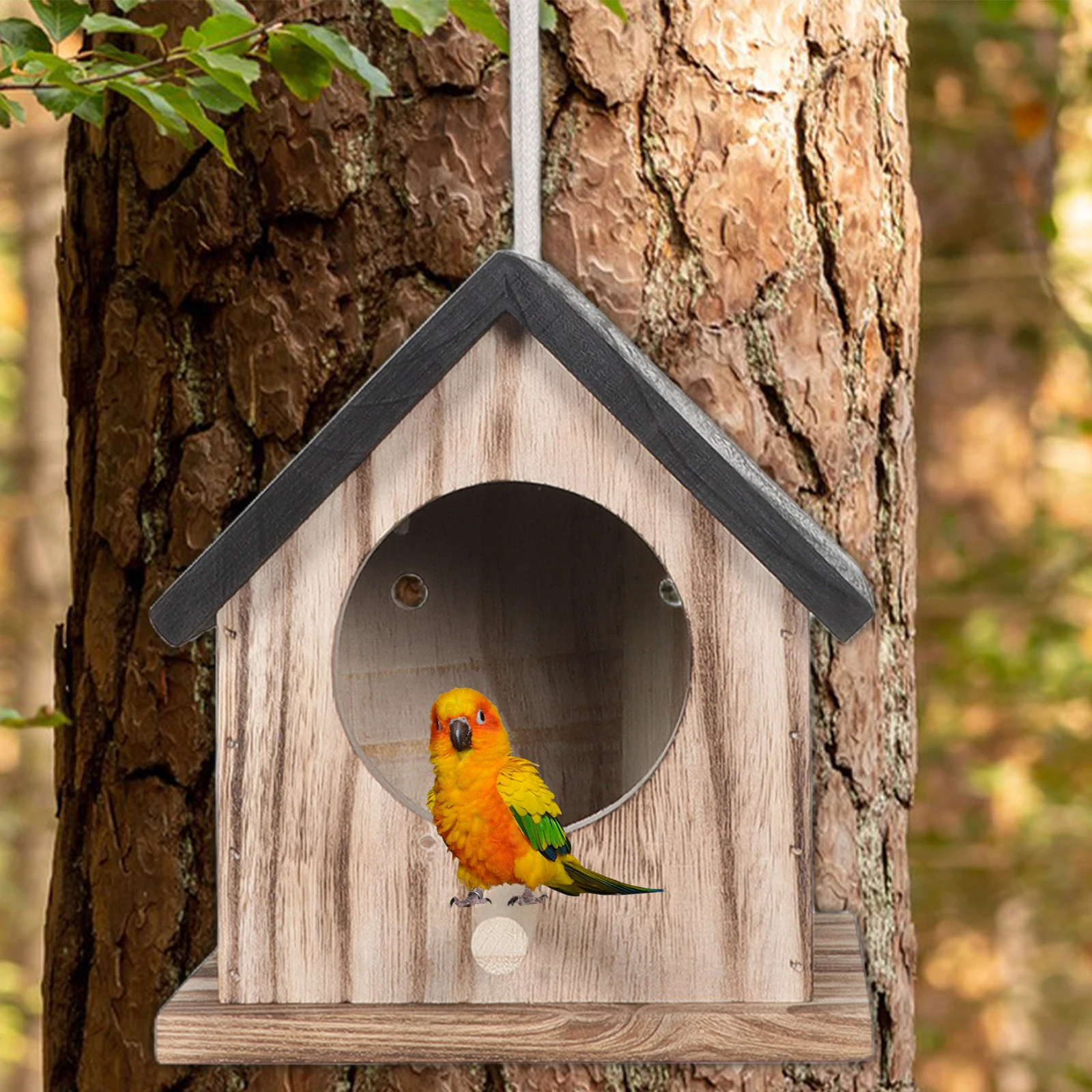 

Outdoor Bird Breeding House Wooden Nesting Box For Budgies Cockatiels Parakeets Parrots Large Spacious Weatherproof Bamboo