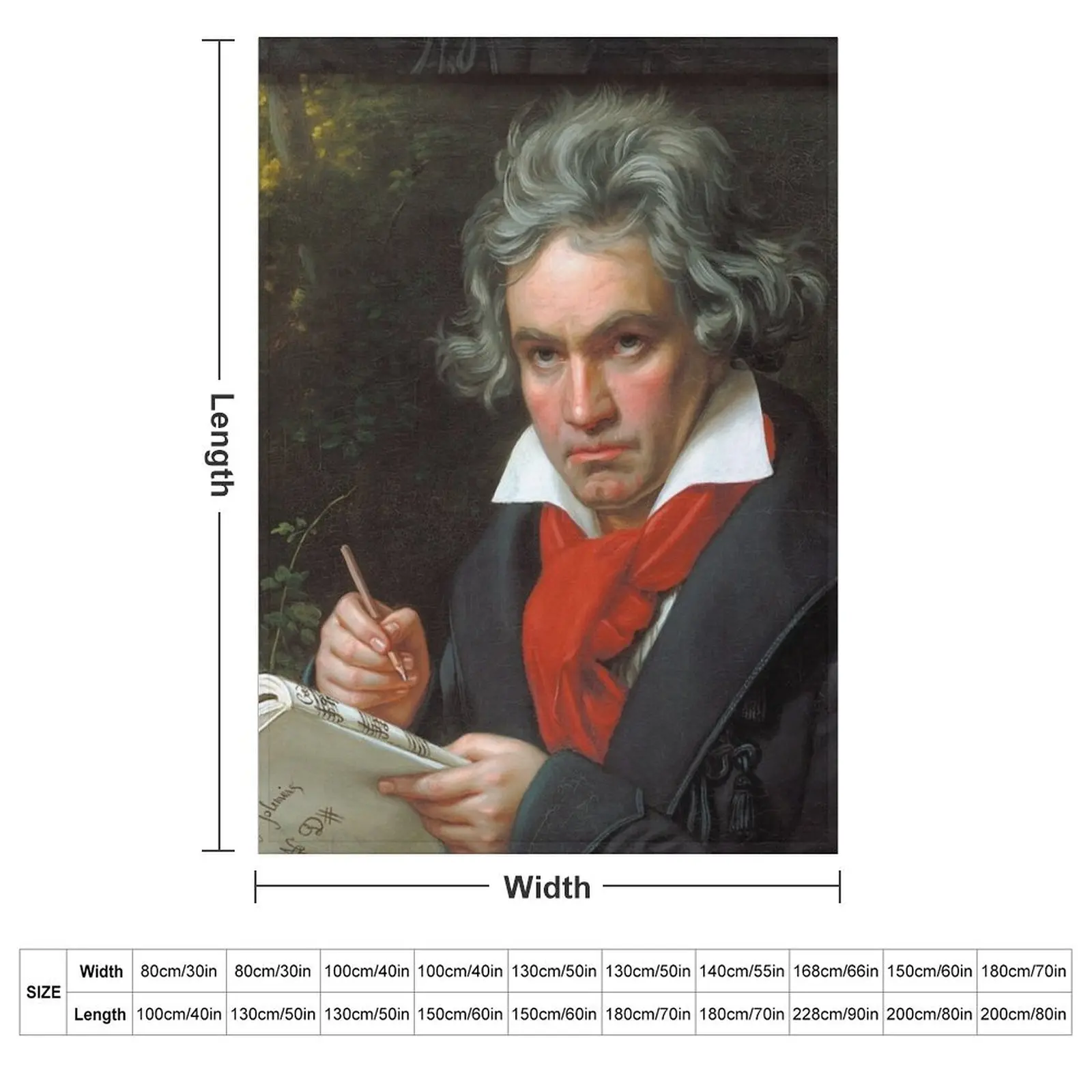 Ludwig van Beethoven Throw Blanket couch cozy soft plush fuzzy picnic outdoor blanket