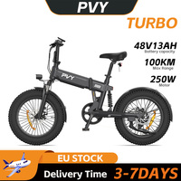 PVY Turbo 250W E-Bike 100km Long-Range 48V13Ah Battery 20\
