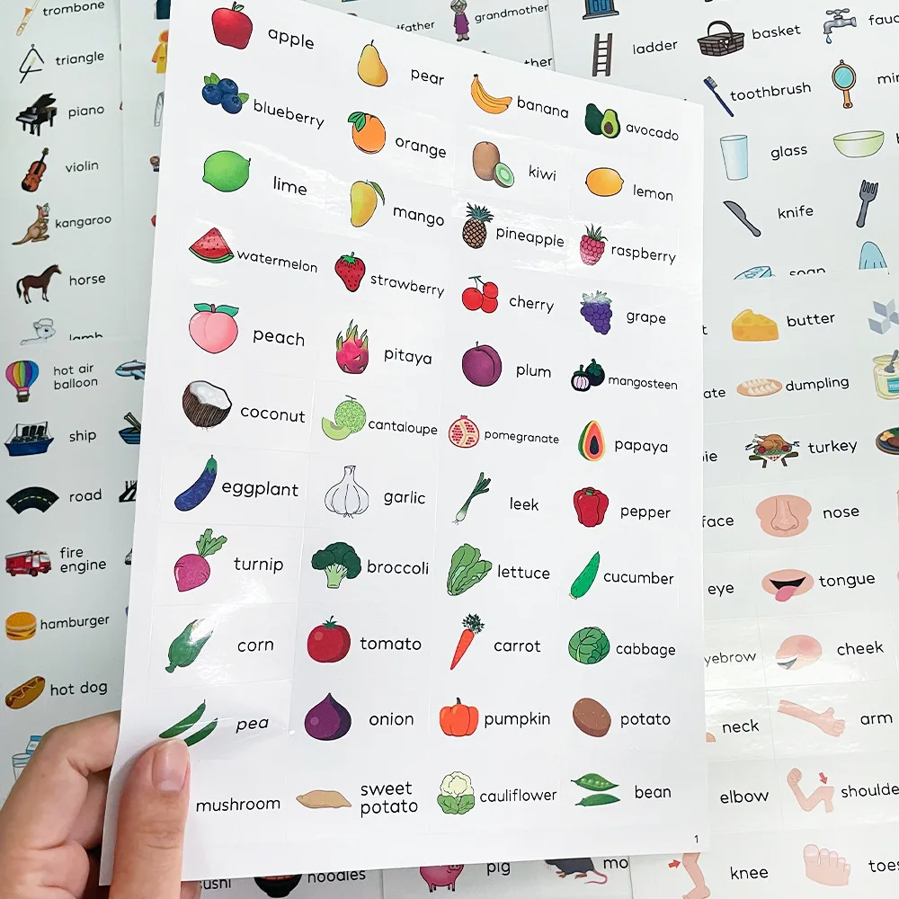 352 English Word Stickers, Daily Sentences, Fruit, Animal, Furniture Stickers for Early Childhood Education English Learning