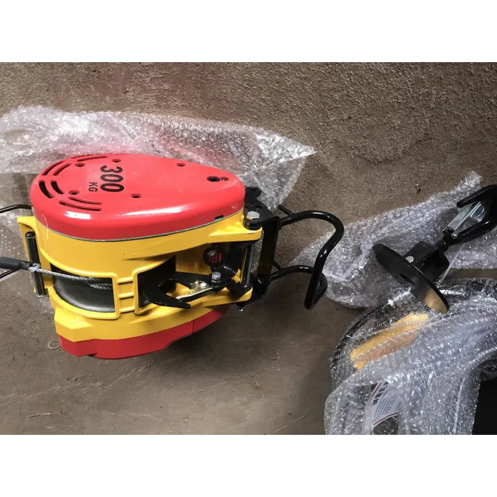 Remote control Mini Micro Electric Winch Load Portable Electric Hoist Electric Winch 220v small crane