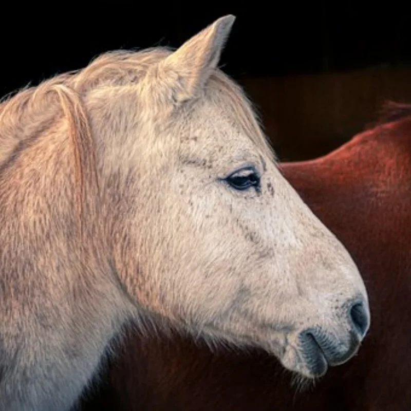

Набор шестигранных отверток RC, 8 шт. 1,5/2,0/2,5/3,0 5,5/7,0 BOX, крестовая 4,0 шестигранная отвертка, набор инструментов для ремонта RC, гайка, крестообразный ключ для RC H