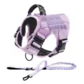 harness set1