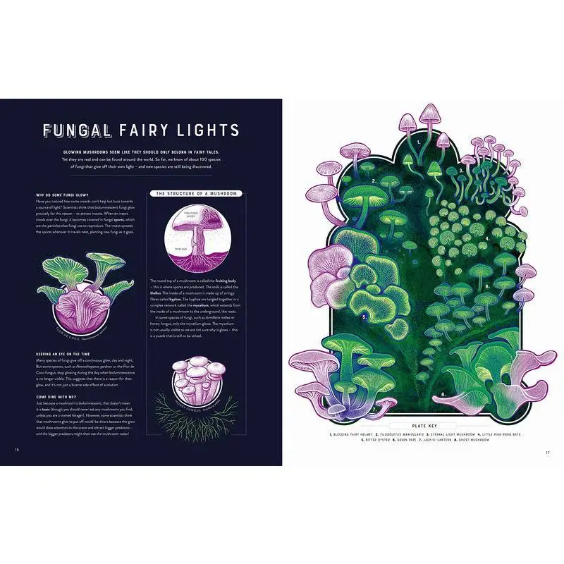 توهج عجائب البرية من التلألؤ البيولوجي جنيفر ن آر سميث ثيمز آند هدسون المحدودة 9780500653203 كتاب