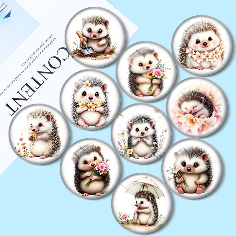 Cute baby hedgehog graphics 12mm/18mm/20mm/25mm Round Photo glass cabochon demo flat back Making findings