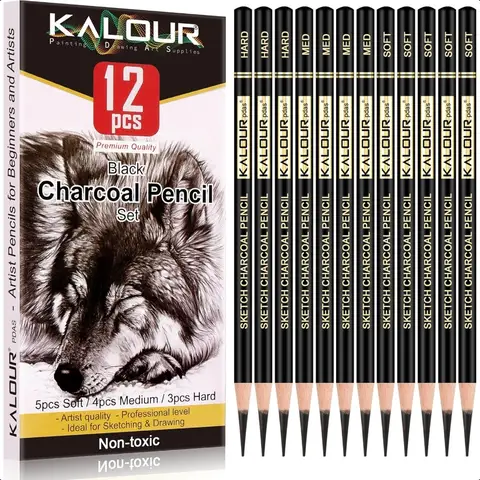 Ensemble de crayons à charbon de bois professionnels, 12 pièces, crayons à charbon doux, moyens et durs, pour dessiner, croquis, ombrage, stylo d'artiste