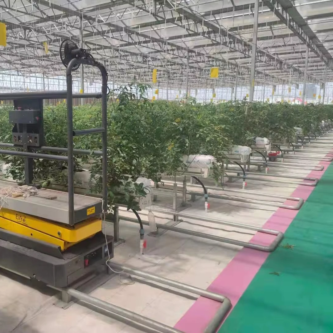 

Customized greenhouseLarge Size and Multi-Span Agricultural Polycarbonate Greenhouse PC Greenhouse for Sale