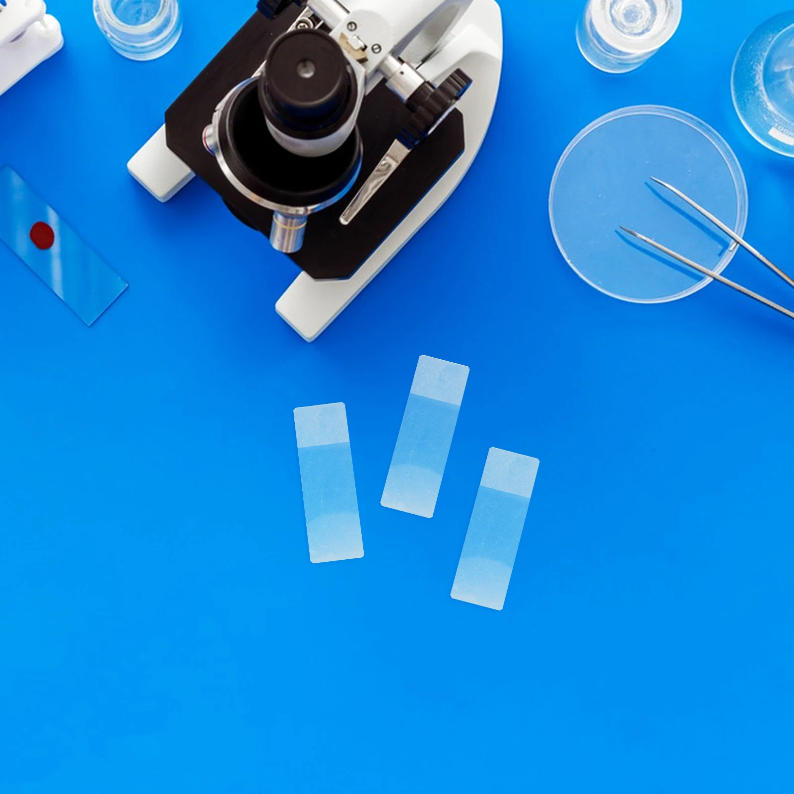 

50Pcs High Transparency Staining Jar 5-Slide Capacity Plastic Lab Container Microscope Slide Storage Efficient School Science