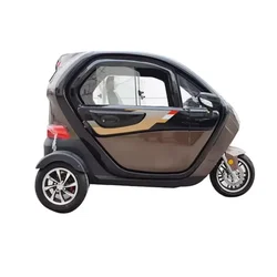 China Electric Mobility Tricycle Double Adulte Enclosed Tricycle For Handicapped