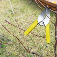 Ring Barking Cutter Scissor Hand Grafting Tool for Orchard Garden Fruit Tree