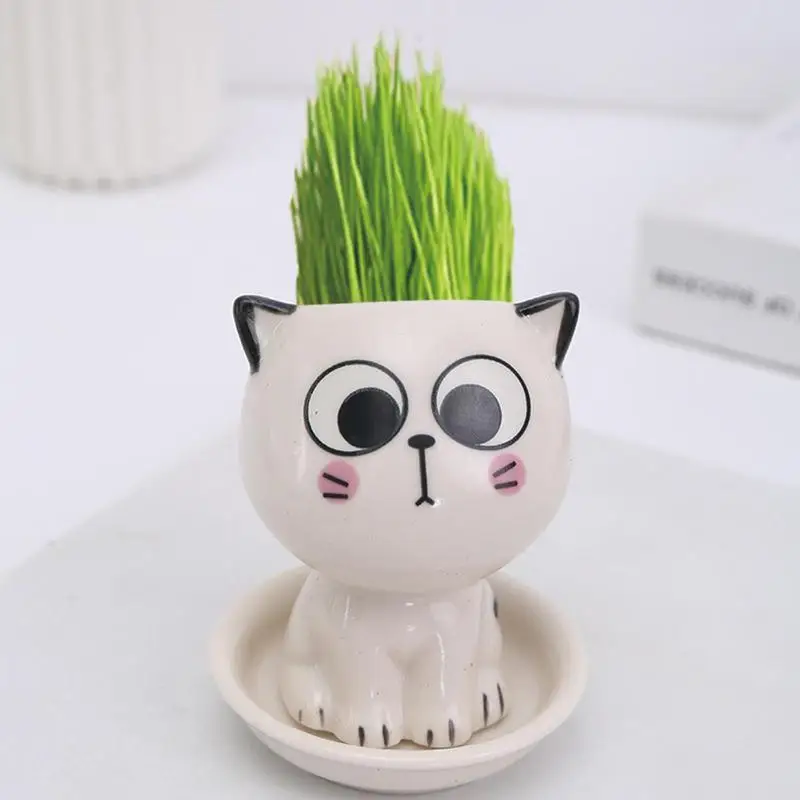 Ceramic Flower Pot Cute Cat Succulent Plant Decorative Porcelain Animal Cat Flower Pots Home Garden Decor Base Tray For Desktop