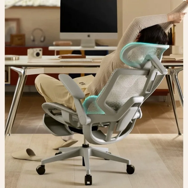 Adjustable Ergonomic Mesh Office Chair, Breathable High Back Computer Desk Chair with 4D Lumbar Support & Retractable Footrest