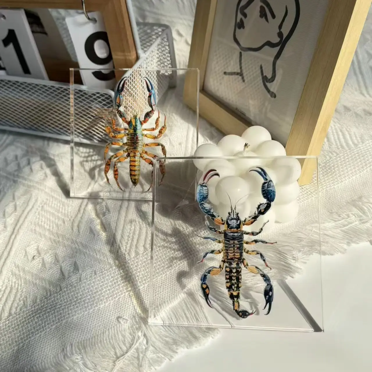 1PCS Scorpion Insect Specimen Home Decoration Room Decoration Ornaments Festival Animal Theme Party Decoration Gifts