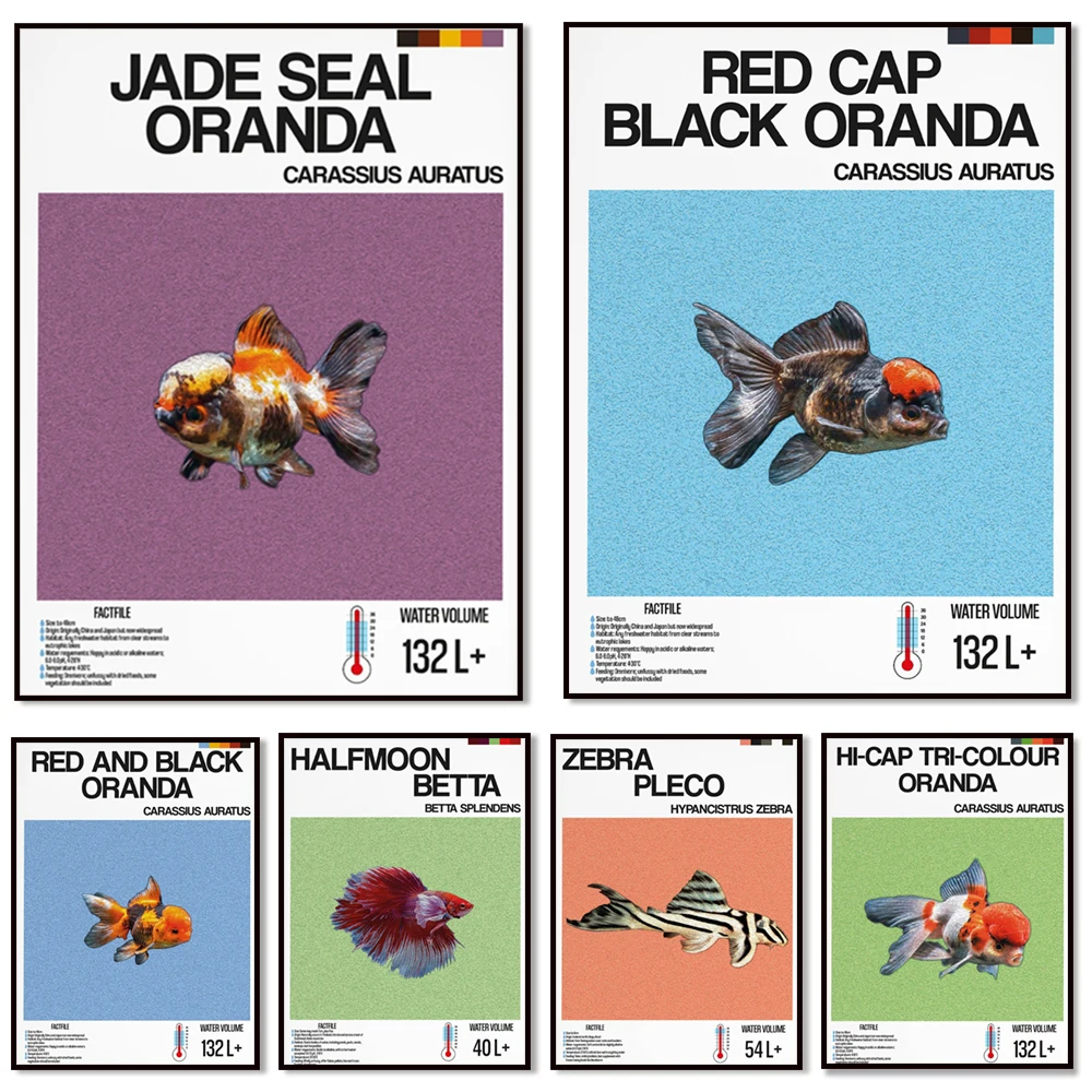 Impresión de información de peces, peces ornamentales, betta de media luna, peces de cebra, peces tropicales, cartel de decoración de acuario