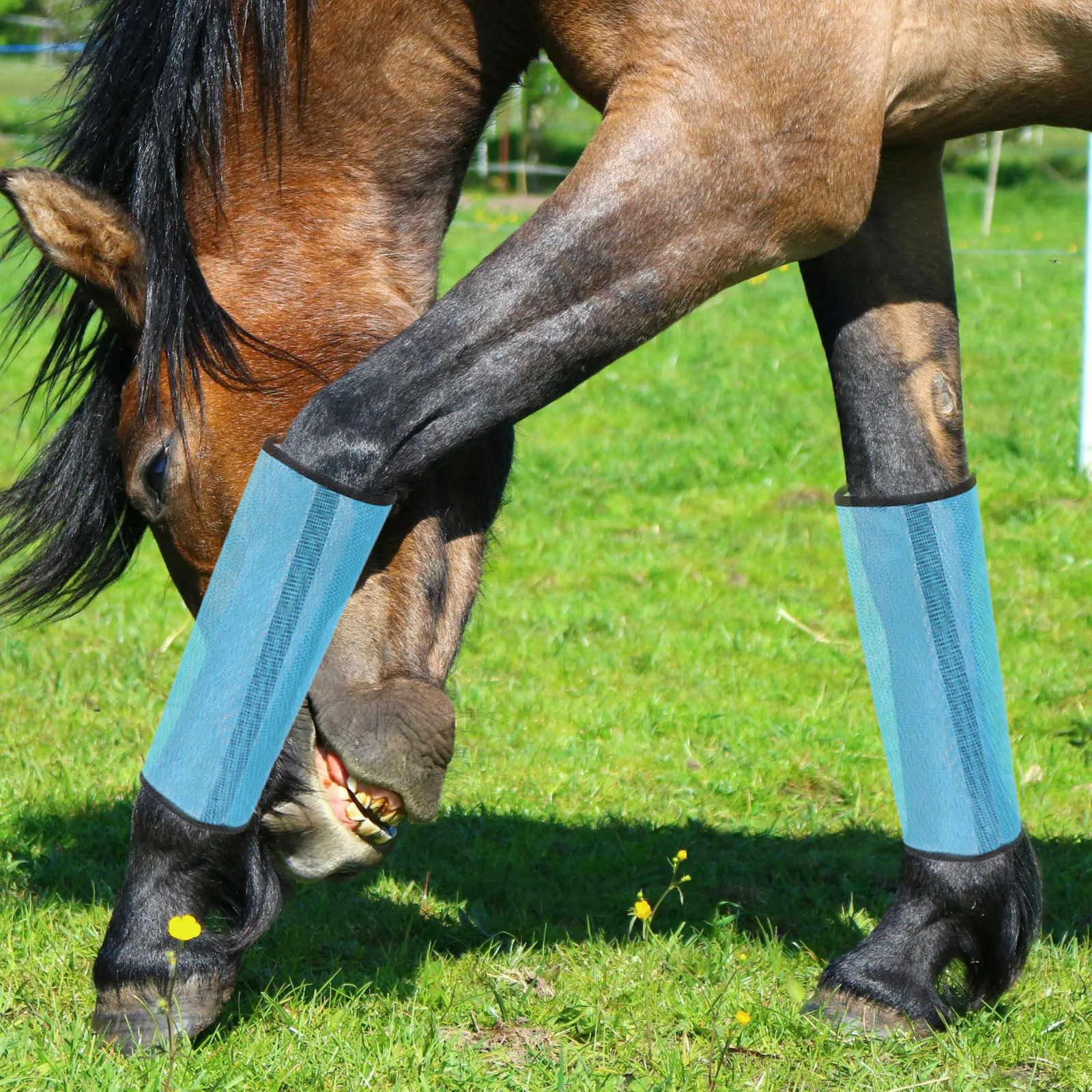 4 قطع من الأحذية الشبكية لحماية ساق الحصان، أحذية احترافية قابلة للتنفس، غطاء شريط دعم متين، ملحقات الحيوانات #1