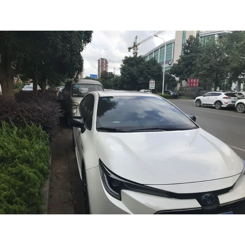 Carbon Fiber Pattern Protective Cover for Toyota Corolla 11th Generation and New Leiling Modified Horn Reversing Mirror Shell