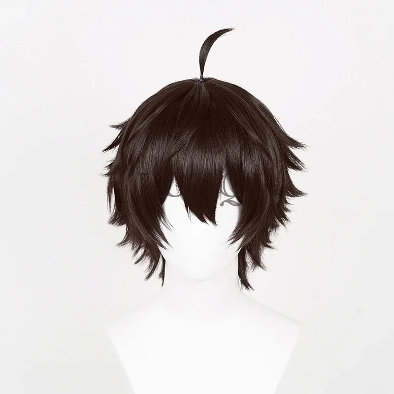 30 cm Dan Heng Parrucche Gioco Honkai: Star Rail Cosplay Nero Marrone Dan Heng Parrucca Cosplay Capelli resistenti al calore Uomini Parrucche Anime + Protezione della parrucca