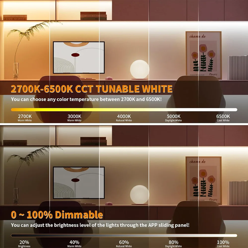 Tuya Zigbee 2CH Smart Led Dimmer Controller DC12V 24V CCT Single Color Strip TUYA APP Google assistant Echo Plus Voice Control
