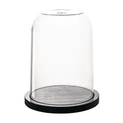 Clear Cloche Dome Display Bell Jar Cover, Tabletop Centerpiece with Wooden Base Decorative Case for Crafts Small Plant Decor