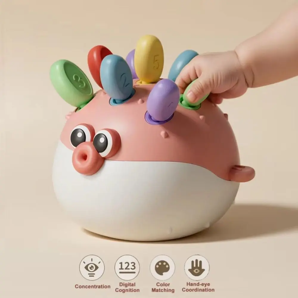 لغز التدريب البلاستيكي المركز إدراج مونتيسوري Pufferfish الأطفال التعلم التعليم المبكر لغز Pufferfish