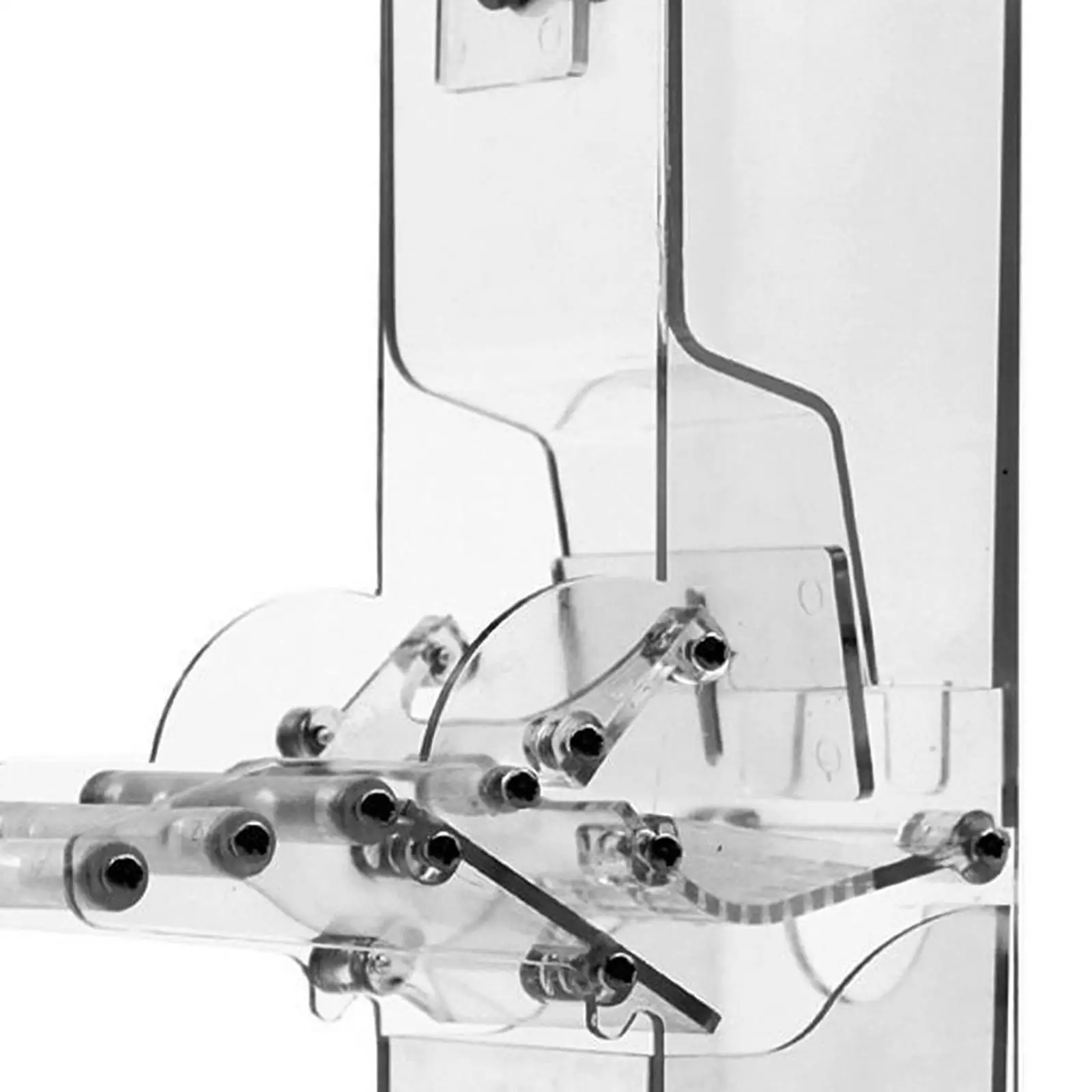 Dispensador automático de semillas para pájaros de jaula – Loros y canarios - imagen 2