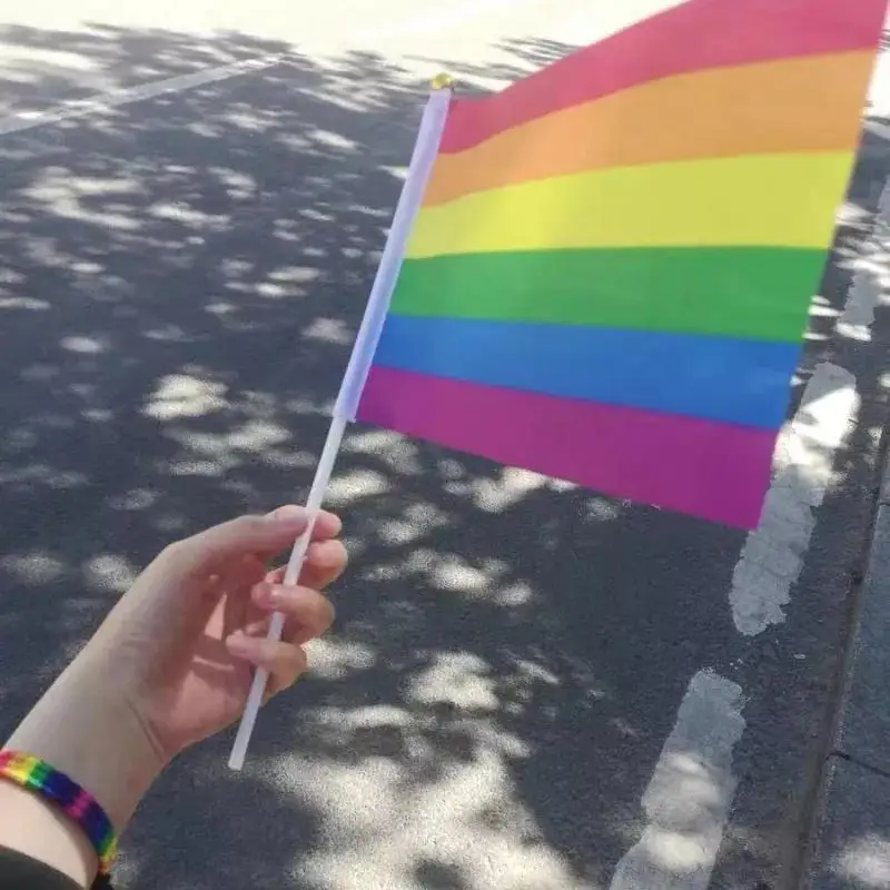 10Pcs Mini Rainbow Hand Flags With Sticks 14x21cm Pride Parade Celebration Party Decoration Cheer Props Handheld Flags