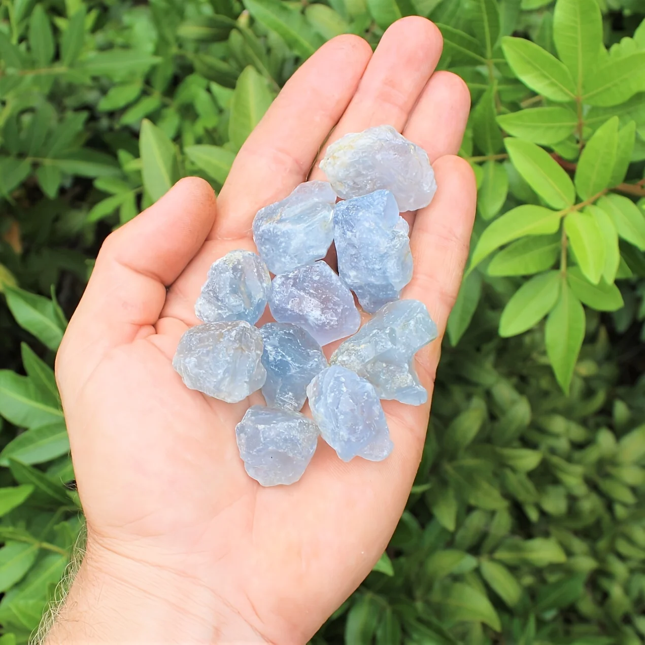 الأحجار الخام Celestite ، قطع الخام الصغيرة ، Celestite ، نقاط ، بلورات زرقاء #1