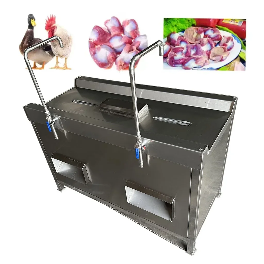 

Automatic Two Chambers Chicken Gizzard Peeling Machine with Water Pipe HJ-TSSB05