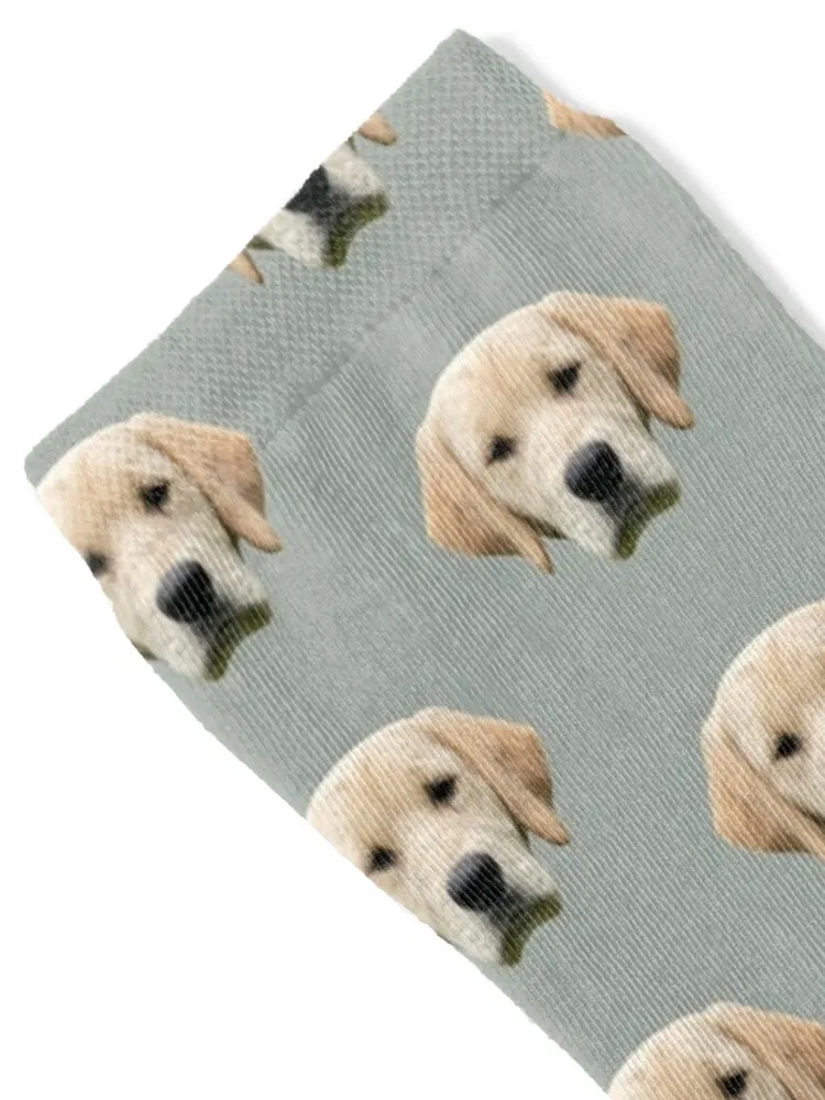 Golden Retriever Socks hiphop christmass gift Stockings Socks Male Women's