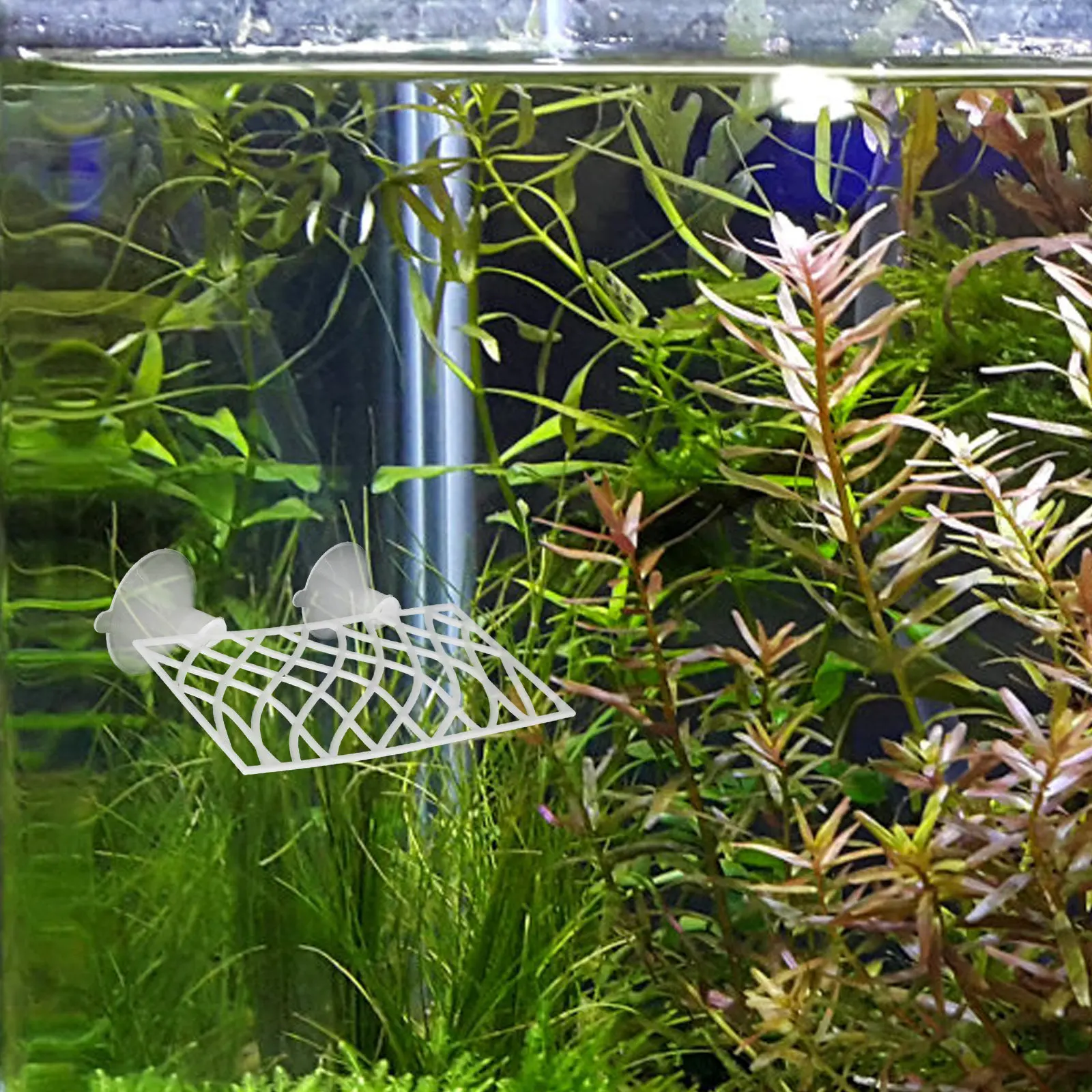 1 Set Tunnel Rifugio per Acqua - Aquarium Fish Unique recensione e prezzo