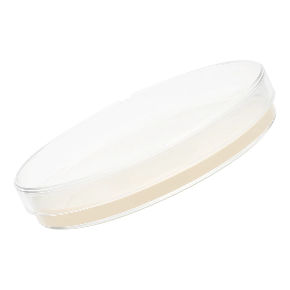 

Agar Plate Lab Petri Dishes Flat Experiment Plates for Laboratory Schools Students