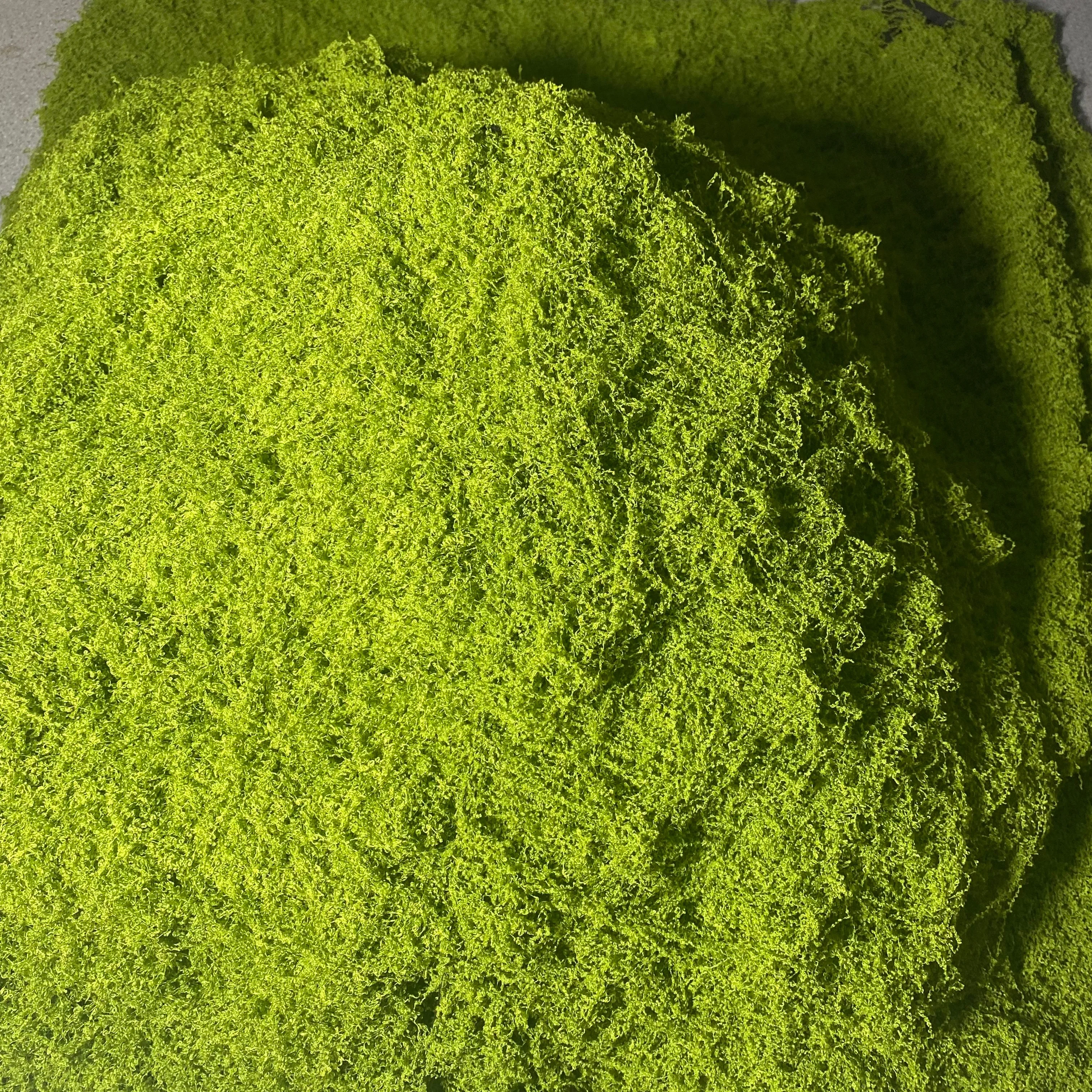 Kunstmospanelen voor alle seiz - Preserved Moss Sheet recensie en prijs