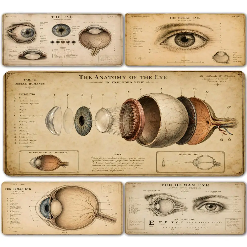 

Vintage Anatomy Eye Mouse Pad Mousepad Large Gaming Mouse Pad LockEdge Thickened Computer Keyboard Table Desk Mat