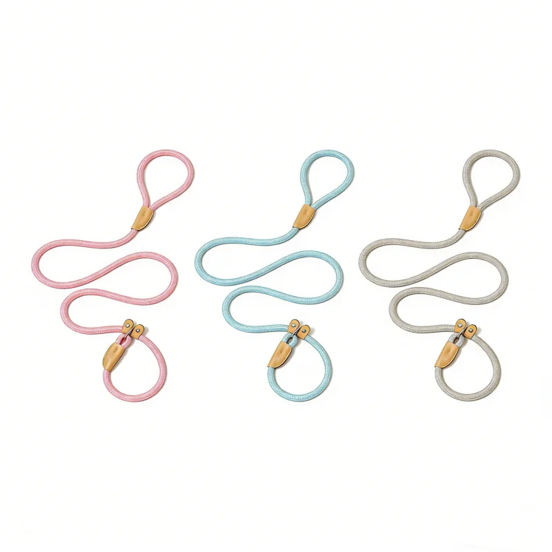 

1.5M Dog Leash Slip Rope Lead Leash Heavy Duty Braided Rope Adjustable Loop Collar Training Leashes for Medium Large Dogs