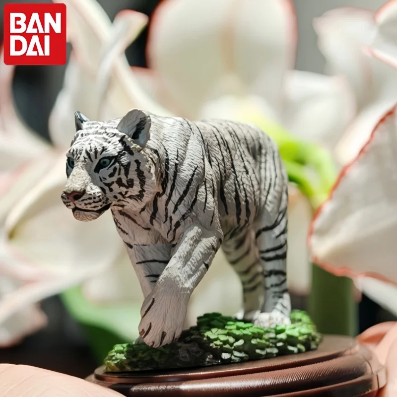 Bandai Wild Feline Animal Miniature Model Bengal Tiger White Tiger Snow Leopard Pallas Cat Desktop Display Ornament Enthusiast