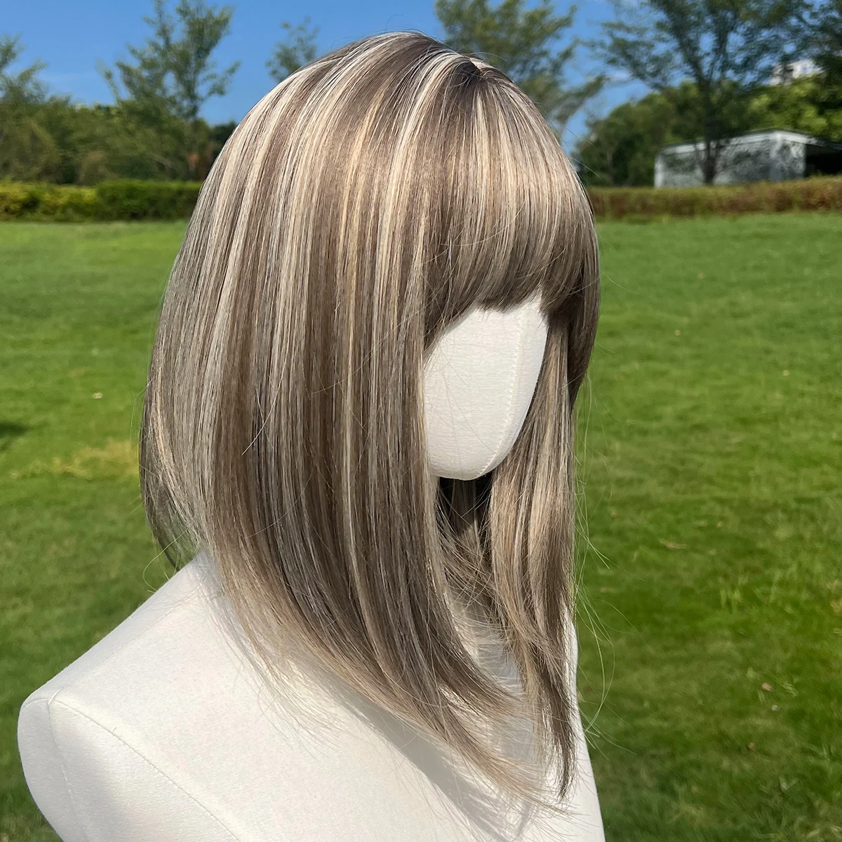Daily Short Hair Heat-Resistant Hair Natural Silver Gray Gradient Color Short Straight Party Wig Suitable Role-Playing image 3
