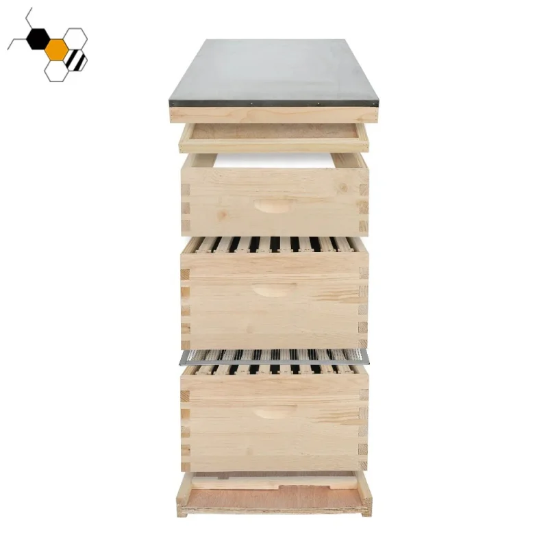 Chinese Fir Wood , 2 Super And 1 Brood Box, Complete Langstroth 10-Frame Bee Hives For Beekeeping Equipment