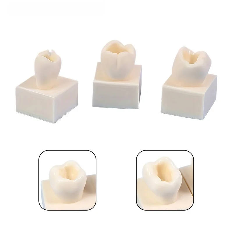 8Pc Dental Student Practice Models for Resin Fillings, Cavity-filling Inlays, Molar Resin Tooth Particles, Dental Materials
