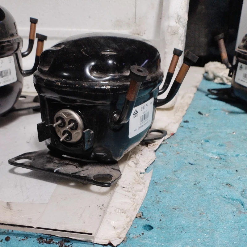 DL19H/DL19H2/DH19GL/DM19 Car refrigerator compressor 12/24V