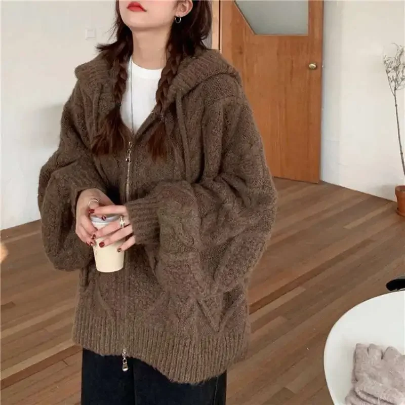 Cardigan Beauty School Sweater Spring and Autumn Loose Hooded Twist Knit Cardigan Fashion Solid Color Korean Sweater Jacket New